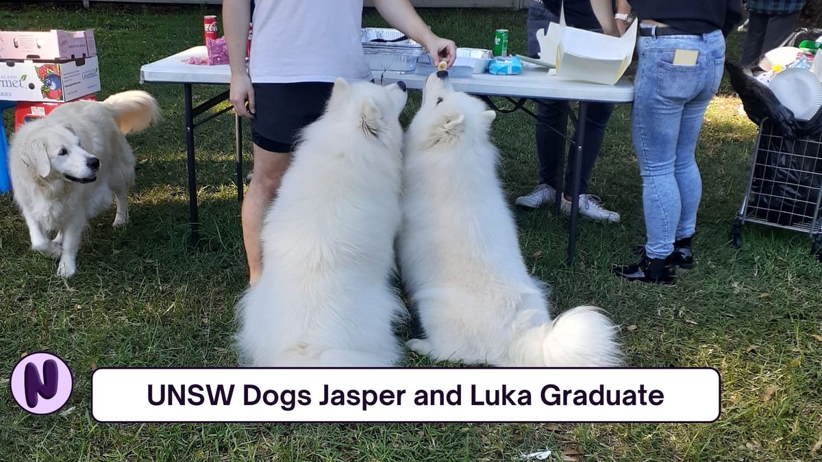 UNSW Dogs Jasper and Luka Graduate