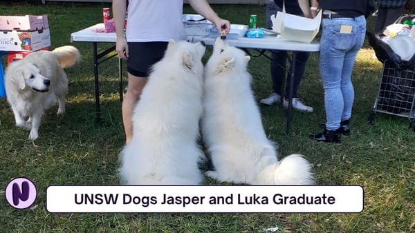 UNSW Dogs Jasper and Luka Graduate